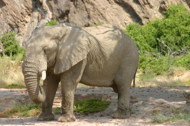 Fort Sesfontein Lodge & Safaris Exteriér fotografie